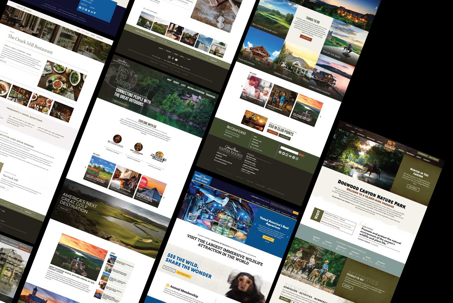 Graphic of multiple Big Cedar Lodge webpage screenshots