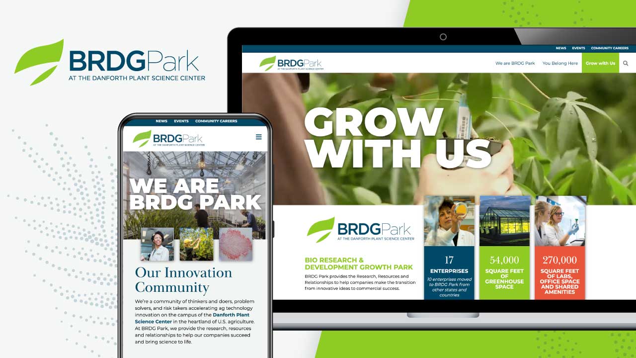 BRDG Park website screenshots