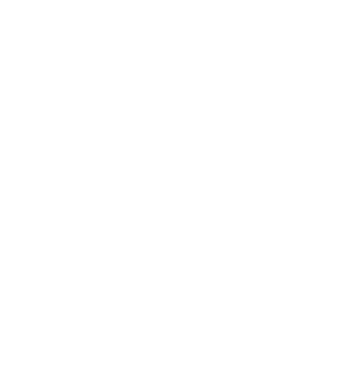 Drawing of the Fierce Fox in white