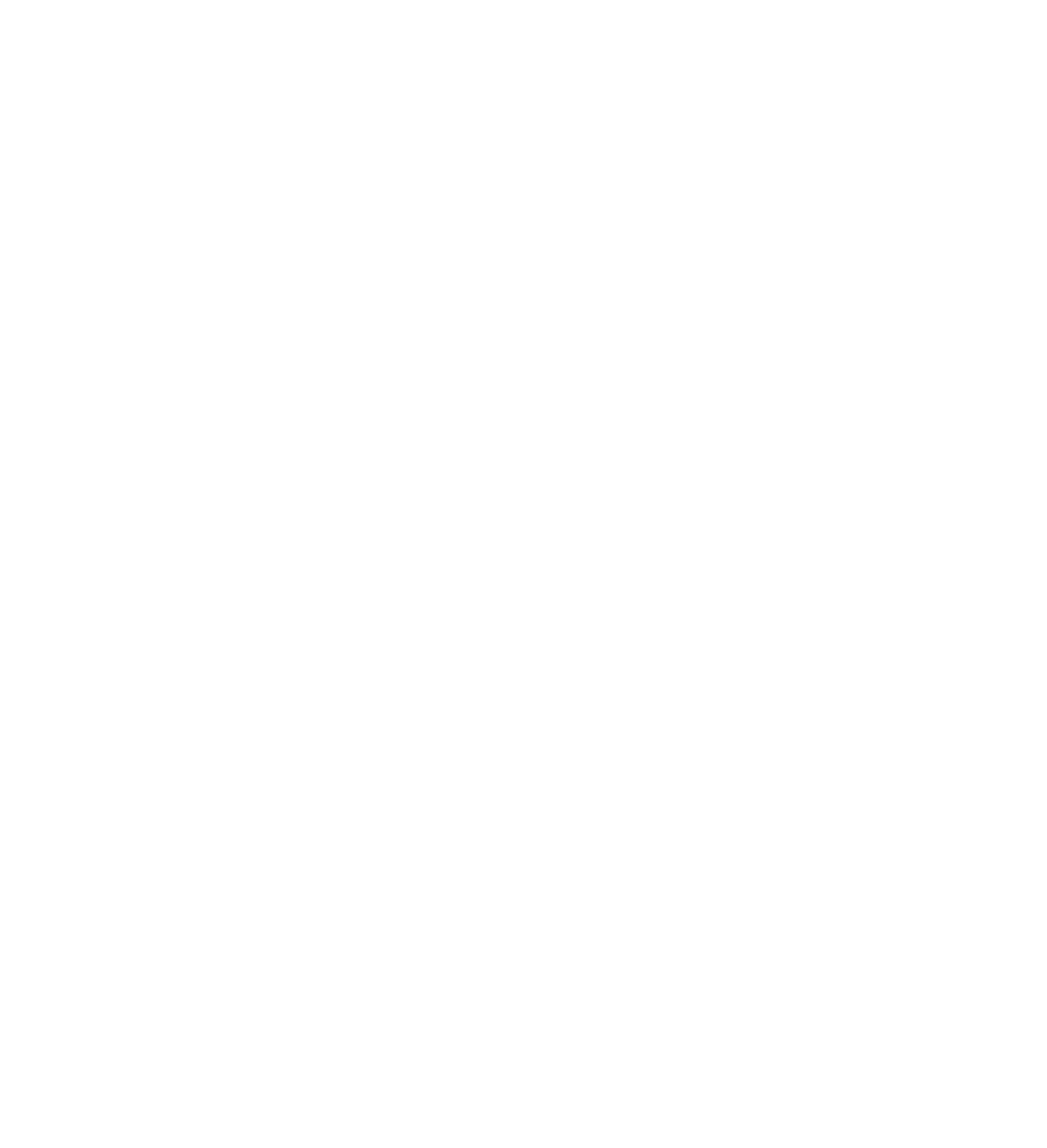 fierce-fox
