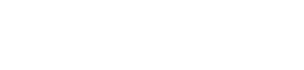 ev-logo-white